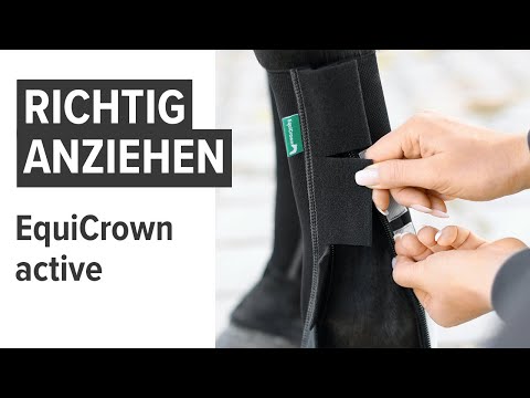 EquiCrown® active - Kompressionsbandage für Pferde