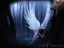 Angel Herido Angel Herido