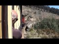 Zig Zag Railway - NSW
