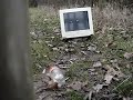 Gamo Hunter 1250 vs Screen