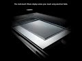 iPhone multitouch