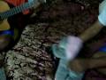 videos de Mamut Chiquitito - Versión Tehua