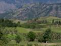 TOKAT SARMASI
