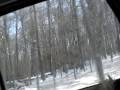 Fantastic forest is snow clad. Its a...