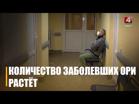 На 18% выросло число заболевших ОРИ в Беларуси за неделю видео