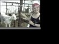 Catboat Farm Catboat Farm