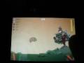 videos de Flight of the Hamsters app Review