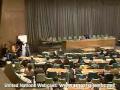 Special Event: International Day for the Elimination of Violence against Women