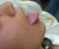 Perforaciones en San cristobal