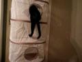 PB090006.AVI