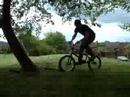 fakie treeride