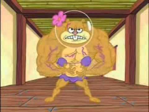 sandy cheeks