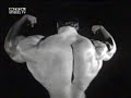 Schwarzenegger - Mr. Europe - Late 60s Schwarzenegger - Mr. Europe - Late 60s