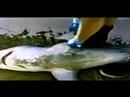 famous-tv-shows-tribute-video.html