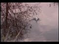 Soothing Nature Music Soothing Nature Music
