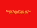 Mersin Toroslar