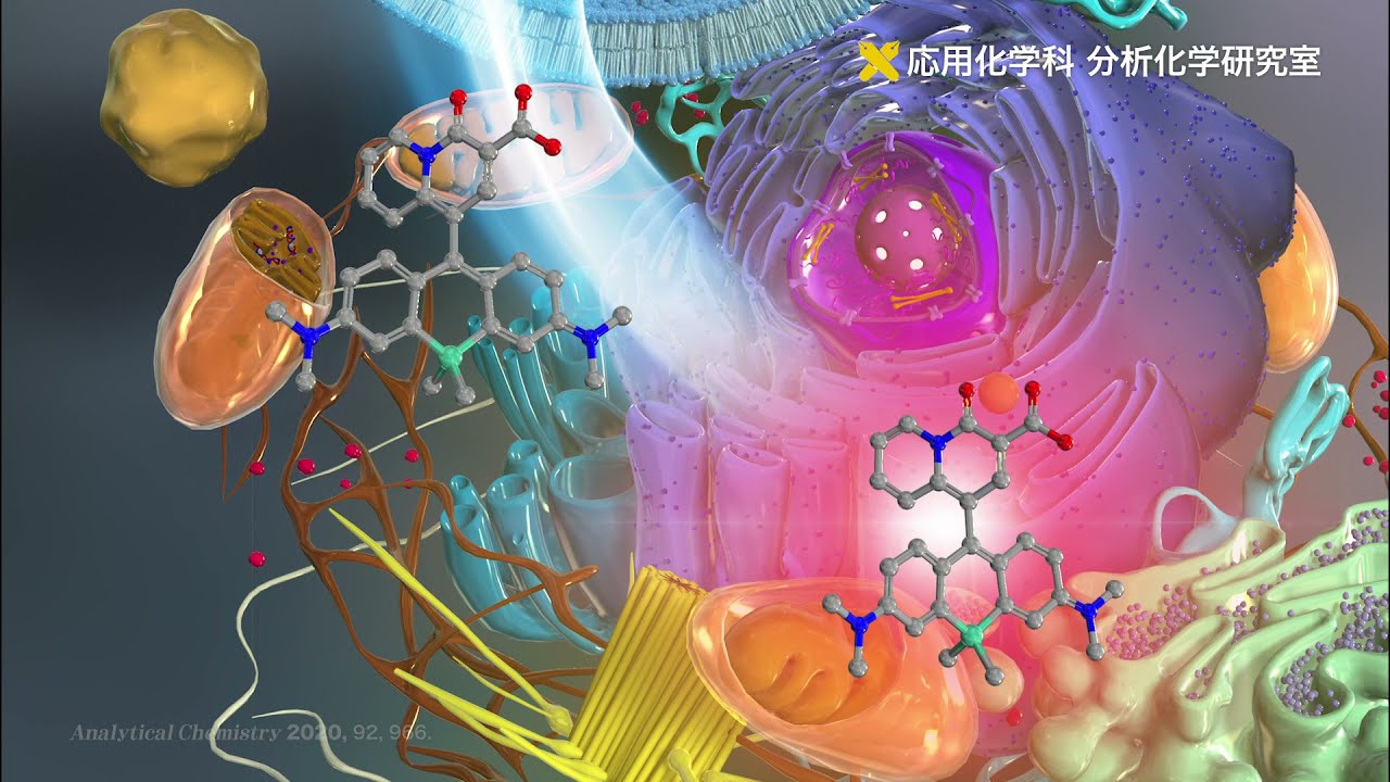 慶應義塾大学理工学部応用化学科分析化学研究室　応用を目指した分析技術の開発