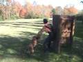 videos de andy bitework.wmv