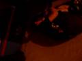 videos chistosos (dos jiles)