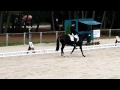 BLACKTIME RIA SAUMUR  CHAMPIONNAT JEUNES CHEVAUX JEAN ETIENNE SUISSE DE SAINTE CLAIRE.MOV