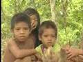 Indonesians don't want palm plantations