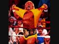 hollywood hogan theme hollywood hogan theme