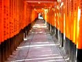 ?????? ???? Fushimi Inari Taisha (O-inarisan) Senbon Tori-i