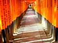 伏見稲荷大社 千本鳥居 Fushimi Inari Taisha (O-inarisan) Senbon Tori-i