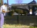 VERY Funny clip !!