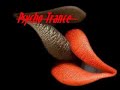 Psy Trance mix august - 18