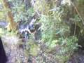 videos de La descida na cachoeira - Prof Fernando e Prof Xandy