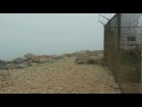 Wired Science 9: Bio Threat
