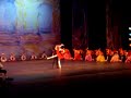 Natalia Osipova e Andrey Bolotin