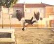 360pk (La Roda -...