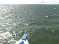 Schiff auf See