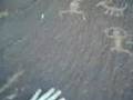 Found Petroglyph's