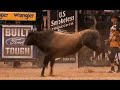 bull riding mix QOTSA bull riding mix QOTSA