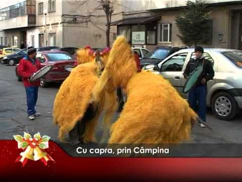 Cu capra, prin Câmpina