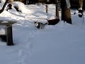 MOV02454.MPG