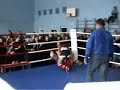 Best knockouts 2005