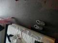 videos de Sophia trying on mama's shoes