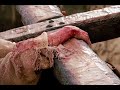photos from the movie the passion of the christ. lead singing by david vogler with willie ruggles and the bluegrass disciples group. song written by clay hess.