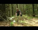 KNYGNESIAI [ Istorines Zinutes - Lietuva Savaip 2007 ]