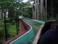The Log Ride