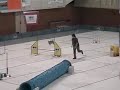 AGILITY -Jumping Klea.wmv