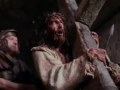 SANTO SANTO SANTO-INSPIRACION VOL. 9 ''PORTADORES DE SU GLORIA''