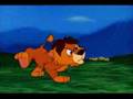 Lambert the Sheepish Lion