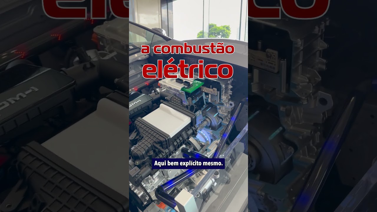 CARRO CORTADO AO MEIO? Ideia da BYD!