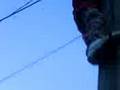 videos de xxxxx on eletric pole throwing crab apples at cars {funny}
