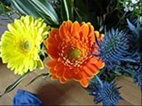 Image de prévisualisation YouTube